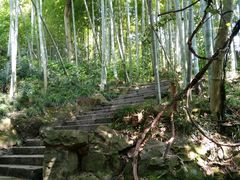 -杭州黄龙洞