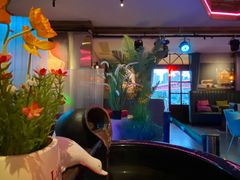 -马灯记·云贵川·Bistro(龙门浩店)
