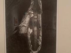 -江苏省美术馆(长江路新馆)