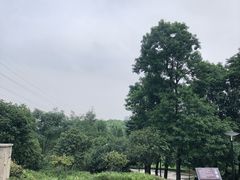 -重庆彩云湖湿地公园