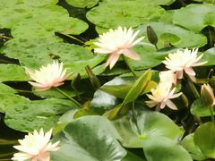 -昆明市金殿名胜区