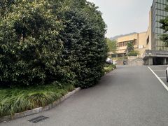 -浙江大学(玉泉校区)