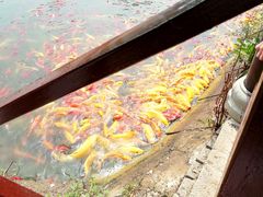 -武汉紫薇都市田园