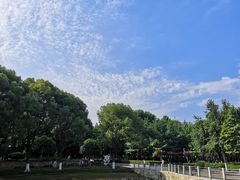 -后襄河公园