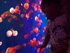 -成都浩海立方海洋公园