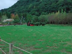 -贵阳市花溪国家城市湿地公园