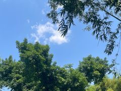 -望江楼公园