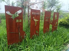 -绿堤公园