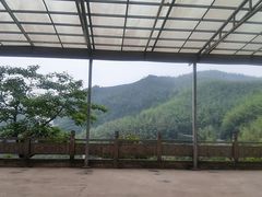-长沙黑麋峰国家森林公园