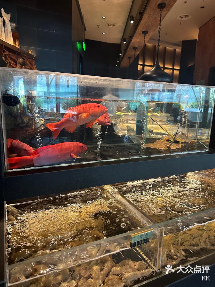 打卡杭州万象城顶楼荣小馆