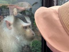 -重庆动物园·东二门售票处