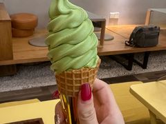 -王守财小山園