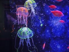 -常州海昌海洋探索馆