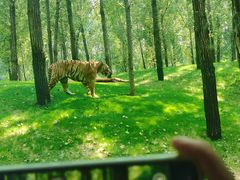 -北京野生动物园