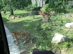 -西安秦岭野生动物园