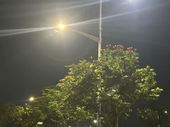 -宋宴(虎跑店)