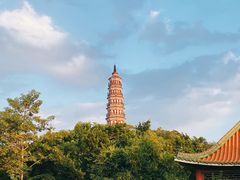 -顺峰山公园