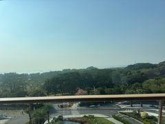 -大湾区中央湿地公园