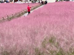 -汉长安城未央宫国家考古遗址公园