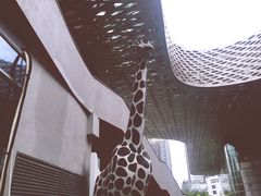 -Who乎coffee&bar