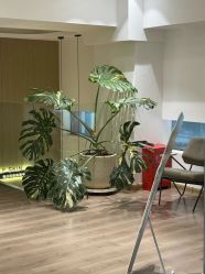 -海菲秀黑钻·SELF SKIN悦己·Tech SPA