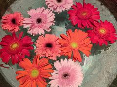 -花马天堂云南餐厅 Lost Heaven(外滩店)