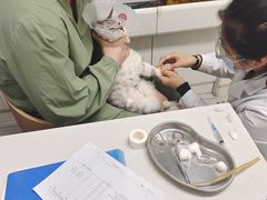 -达爱动物医院·犬猫分区·CT·复杂眼科(远洋山水分院)