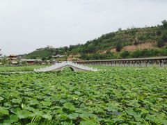 -渭南桃花源民俗文化园