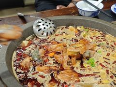 -秦巴石锅鱼(文化南路店)