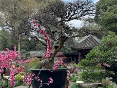 -成都杜甫草堂博物馆