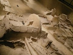 -洛阳周王城天子驾六博物馆