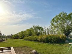 -汉长安城未央宫国家考古遗址公园