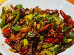 -柴窝堡22号辣子鸡·传承新疆菜