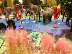 -卡通尼·Safari非洲探索乐园·生日会(金桥国际商业广场店)