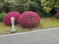 -石湖景区