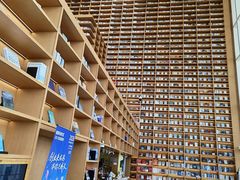 -朵云书院(滴水湖店)