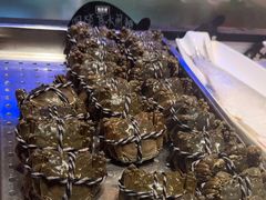 -同庆楼(滨湖万达广场店)