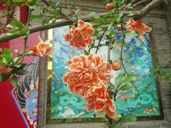 -西安市广仁寺