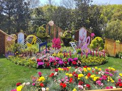 -上海共青森林公园