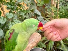 -南宫五洲植物乐园