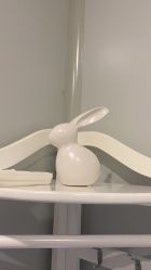 -苑苑vbeauty科技美容SPA
