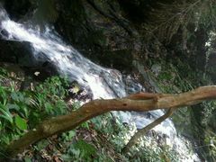 android_upload_pic-藏龙百瀑风景区