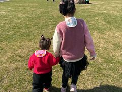 -昆山城市生态森林公园