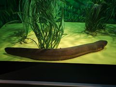 -上海海洋水族馆