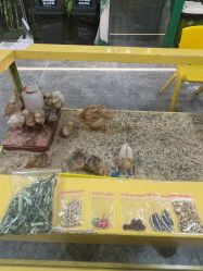 -神奇动物撸宠馆·羊驼·小浣熊·异宠(豫园店)