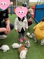 -萌宠亲子动物乐园(槐房万达店)