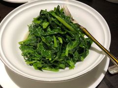 豌豆尖-甄御•海鲜新青岛菜(麦岛店)
