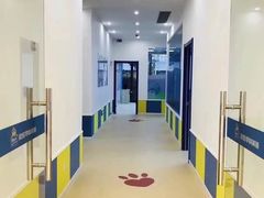 -贝乐少儿英语·全外教(滨江中心)