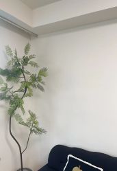 -小梨·OndaPro·专业脱毛连锁机构