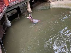 -清迈夜间动物园